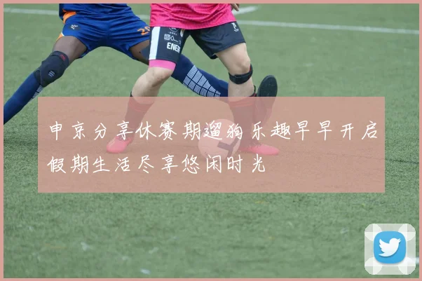 申京分享休赛期遛狗乐趣早早开启假期生活尽享悠闲时光